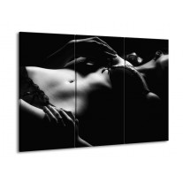 Glas schilderij Lichaam | Grijs, Zwart, Wit | 90x60cm 3Luik
