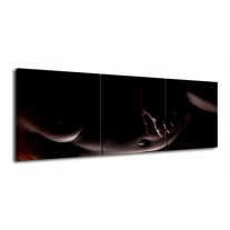 Canvas schilderij Vrouw | Zwart, Bruin | 120x40cm 3Luik
