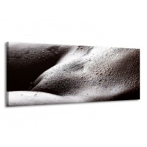 Glas schilderij Lichaam | Grijs, Zwart, Wit | 145x58cm 1Luik