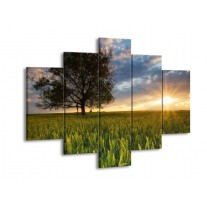 Glas schilderij Landschap | Wit, Blauw, Groen | 150x105cm 5Luik