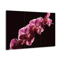 Glas schilderij Orchidee | Paars, Wit, Zwart | 90x60cm 3Luik