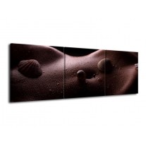 Glas schilderij Lichaam | Zwart, Wit | 120x40cm 3Luik