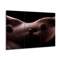 Glas schilderij Lichaam | Zwart, Wit | 90x60cm 3Luik