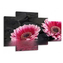 Glas schilderij Gerbera | Rood, Grijs, Zwart | 120x75cm 4Luik