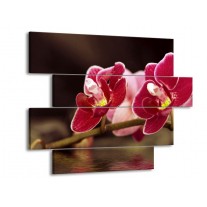 Glas schilderij Orchidee | Zwart, Rood | 115x85cm 4Luik