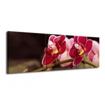 Canvas schilderij Orchidee | Zwart, Rood | 120x40cm 3Luik