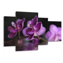 Glas schilderij Orchidee | Paars, Zwart | 120x75cm 4Luik