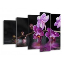 Glas schilderij Orchidee | Paars, Zwart, Wit | 150x100cm 5Luik