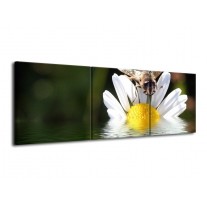 Glas schilderij Natuur | Geel, Wit, Grijs | 120x40cm 3Luik