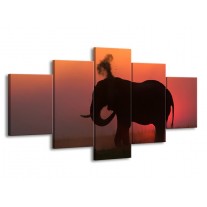 Glas schilderij Olifant | Rood, Zwart, Bruin | 150x80cm 5Luik