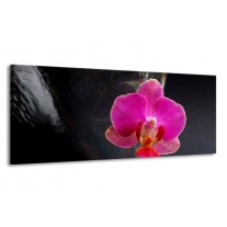 Glas schilderij Orchidee | Rood, Zwart, Grijs | 145x58cm 1Luik