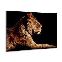 Canvas schilderij Leeuw | Bruin, Zwart | 90x60cm 3Luik