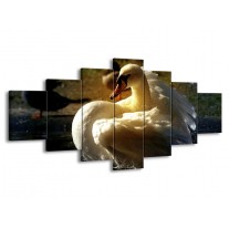 Glas schilderij Zwaan | Wit, Geel, Grijs | 210x100cm 7Luik