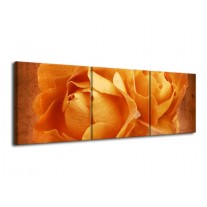 Glas schilderij Roos | Bruin, Oranje, Geel | 120x40cm 3Luik