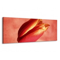 Glas schilderij Tulp | Rood, Oranje, Geel | 145x58cm 1Luik