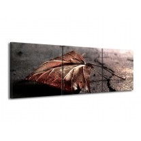 Glas schilderij Herfst | Bruin, Grijs, Rood | 150x50cm 3Luik