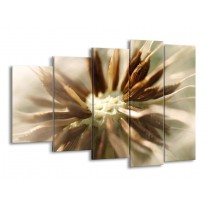Glas schilderij Bloem | Bruin, Wit, Grijs | 150x100cm 5Luik
