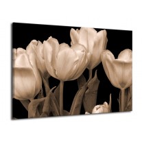 Glas schilderij Tulpen | Sepia, Bruin | 70x50cm 1Luik