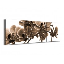 Glas schilderij Orchidee | Sepia, Bruin | 150x50cm 3Luik