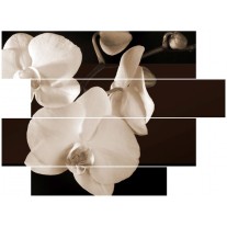 Glas schilderij Orchidee | Sepia, Bruin | 115x85cm 4Luik