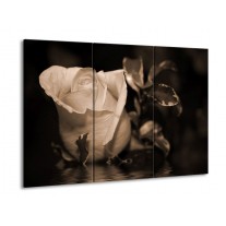 Glas schilderij Roos | Sepia, Bruin | 90x60cm 3Luik