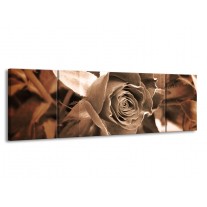 Canvas schilderij Roos | Sepia, Bruin | 170x50cm 3Luik