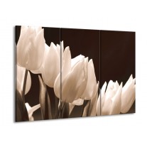 Canvas schilderij Tulp | Sepia | 90x60cm 3Luik