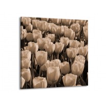Glas schilderij Tulpen | Sepia, Bruin | 70x70cm 1Luik