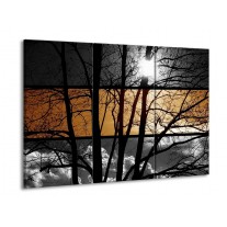 Glas schilderij Natuur | Sepia, Bruin | 90x60cm 3Luik