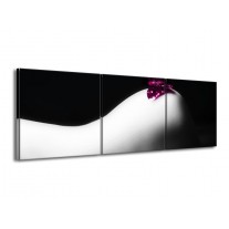 Canvas schilderij Vlinder | Wit, Zwart, Paars | 150x50cm 3Luik