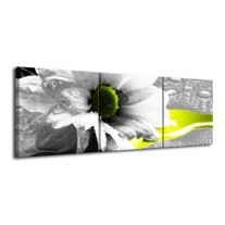 Glas schilderij Bloem | Grijs, Wit, Geel | 120x40cm 3Luik