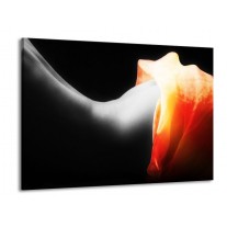 Glas schilderij Lichaam | Zwart, Wit, Oranje | 100x70cm 1Luik