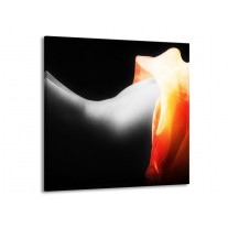 Canvas schilderij Lichaam | Zwart, Wit, Oranje | 50x50cm 1Luik