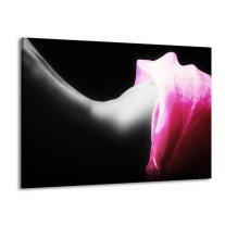 Glas schilderij Lichaam | Zwart, Wit, Roze | 100x70cm 1Luik