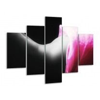 Glas schilderij Lichaam | Zwart, Wit, Roze | 100x70cm 5Luik