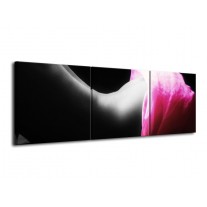 Glas schilderij Lichaam | Zwart, Wit, Roze | 120x40cm 3Luik
