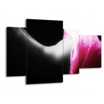 Canvas schilderij Lichaam | Zwart, Wit, Roze | 120x75cm 4Luik