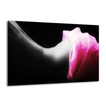 Canvas schilderij Lichaam | Zwart, Wit, Roze | 140x90cm 1Luik