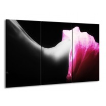 Glas schilderij Lichaam | Zwart, Wit, Roze | 165x100cm 3Luik
