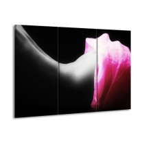 Glas schilderij Lichaam | Zwart, Wit, Roze | 90x60cm 3Luik