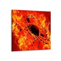 Glas schilderij Vuur | Zwart, Oranje, Geel | 50x50cm 1Luik