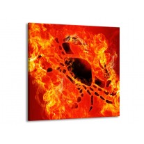 Glas schilderij Vuur | Zwart, Oranje, Geel | 70x70cm 1Luik