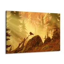 Glas schilderij Natuur | Geel, Bruin, Wit | 100x70cm 1Luik
