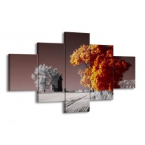 Glas schilderij Natuur | Geel, Grijs, Wit | 125x70cm 5Luik