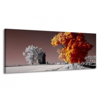 Glas schilderij Natuur | Geel, Grijs, Wit | 145x58cm 1Luik