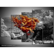 Klok schilderij Boom | Oranje, Grijs, Wit | 150x100cm 5Luik