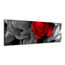 Glas schilderij Tulp | Rood, Grijs, Zwart | 120x40cm 3Luik