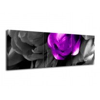 Glas schilderij Tulp | Paars, Grijs, Zwart | 120x40cm 3Luik