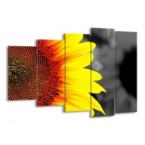 Canvas schilderij Zonnebloem | Geel, Bruin, Grijs | 150x100cm 5Luik