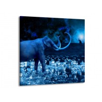 Glas schilderij Olifant | Blauw, Wit, Zwart | 70x70cm 1Luik